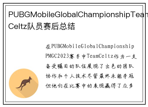 PUBGMobileGlobalChampionshipTeamCeltz队员赛后总结